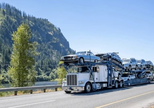 photo_2026-01-26_10-01-36